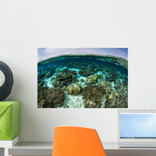 Shallow Coral Reef Thrives Wall Decal Design 11