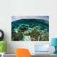 Shallow Coral Reef Thrives Wall Decal Design 11