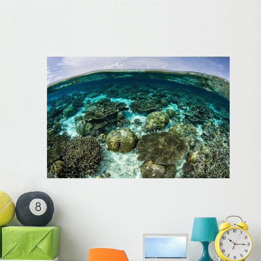 Shallow Coral Reef Thrives Wall Decal Design 11