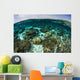 Shallow Coral Reef Thrives Wall Decal Design 11