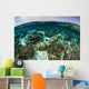 Shallow Coral Reef Thrives Wall Decal Design 11