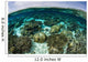 Shallow Coral Reef Thrives Wall Decal Design 11