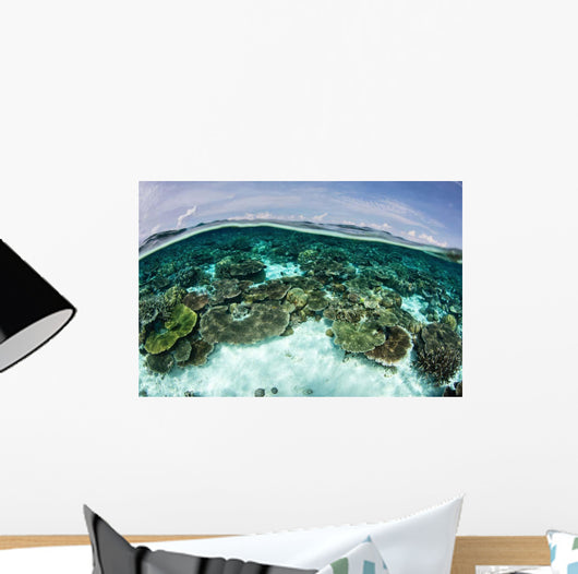Shallow Coral Reef Thrives Wall Decal Design 10