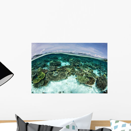 Shallow Coral Reef Thrives Wall Decal Design 10