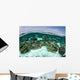 Shallow Coral Reef Thrives Wall Decal Design 10