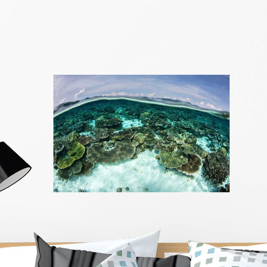 Shallow Coral Reef Thrives Wall Decal Design 10