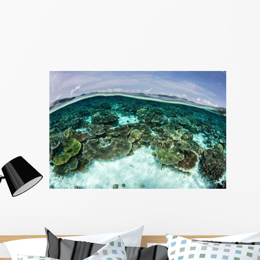 Shallow Coral Reef Thrives Wall Decal Design 10