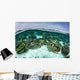 Shallow Coral Reef Thrives Wall Decal Design 10