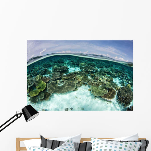 Shallow Coral Reef Thrives Wall Decal Design 10