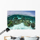Shallow Coral Reef Thrives Wall Decal Design 10
