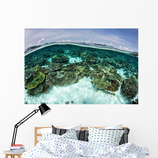 Shallow Coral Reef Thrives Wall Decal Design 10
