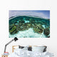 Shallow Coral Reef Thrives Wall Decal Design 10
