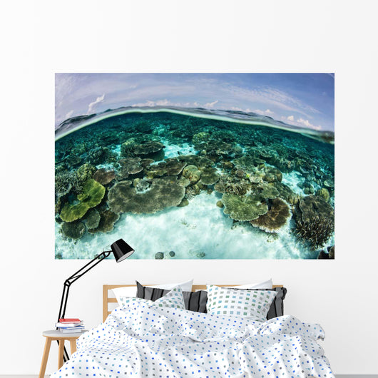 Shallow Coral Reef Thrives Wall Decal Design 10