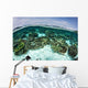 Shallow Coral Reef Thrives Wall Decal Design 10