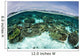 Shallow Coral Reef Thrives Wall Decal Design 10