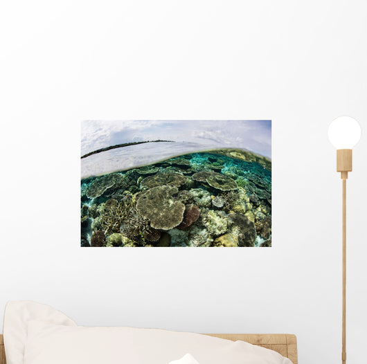 Shallow Coral Reef Thrives Wall Decal Design 9