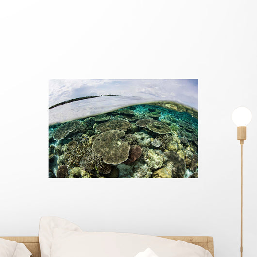 Shallow Coral Reef Thrives Wall Decal Design 9