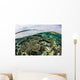 Shallow Coral Reef Thrives Wall Decal Design 9