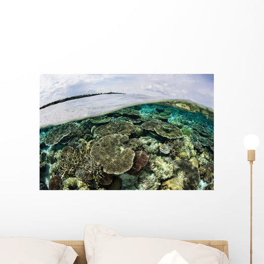 Shallow Coral Reef Thrives Wall Decal Design 9