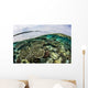 Shallow Coral Reef Thrives Wall Decal Design 9
