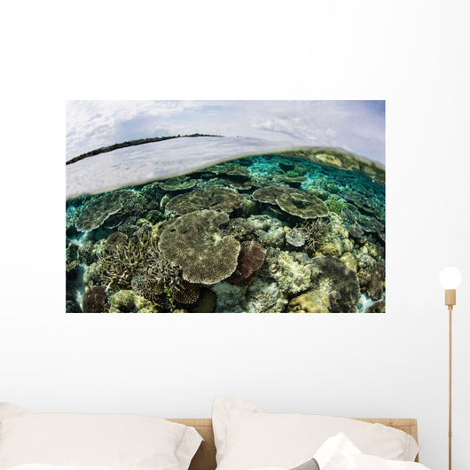 Shallow Coral Reef Thrives Wall Decal Design 9