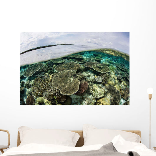 Shallow Coral Reef Thrives Wall Decal Design 9