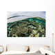 Shallow Coral Reef Thrives Wall Decal Design 9
