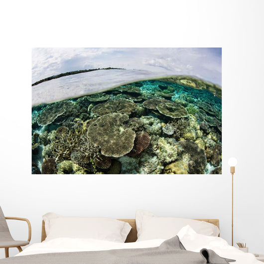 Shallow Coral Reef Thrives Wall Decal Design 9