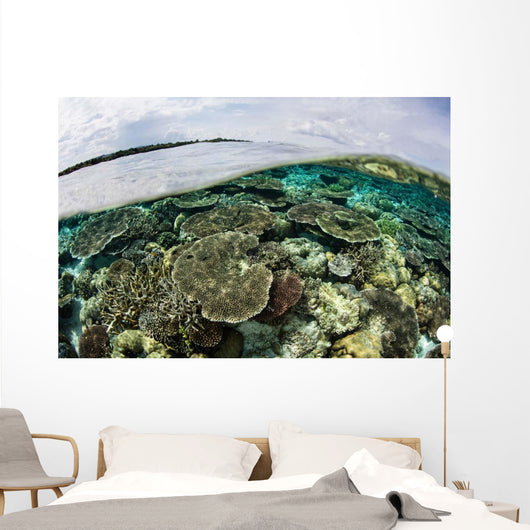Shallow Coral Reef Thrives Wall Decal Design 9