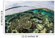 Shallow Coral Reef Thrives Wall Decal Design 9
