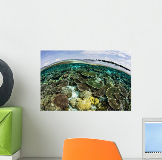Shallow Coral Reef Thrives Wall Decal Design 8