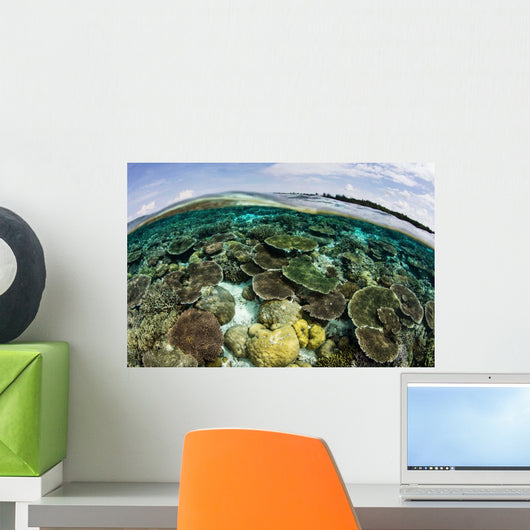 Shallow Coral Reef Thrives Wall Decal Design 8
