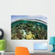 Shallow Coral Reef Thrives Wall Decal Design 8
