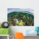 Shallow Coral Reef Thrives Wall Decal Design 8