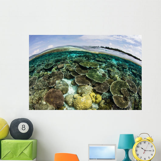 Shallow Coral Reef Thrives Wall Decal Design 8