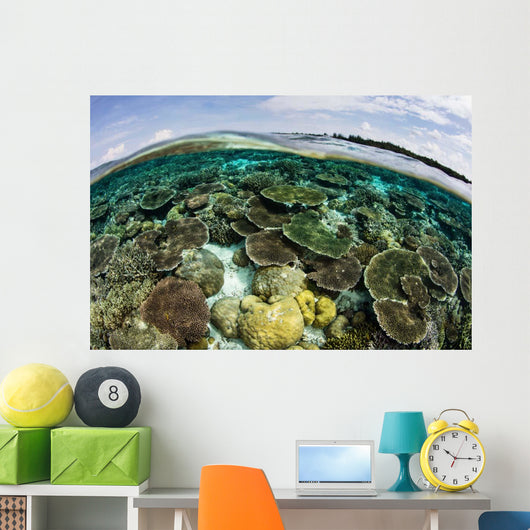 Shallow Coral Reef Thrives Wall Decal Design 8