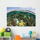 Shallow Coral Reef Thrives Wall Decal Design 8