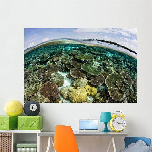 Shallow Coral Reef Thrives Wall Decal Design 8