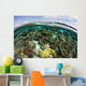 Shallow Coral Reef Thrives Wall Decal Design 8