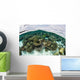 Shallow Coral Reef Thrives Wall Decal Design 7