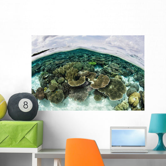 Shallow Coral Reef Thrives Wall Decal Design 7