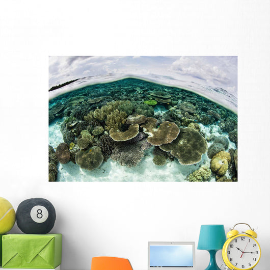 Shallow Coral Reef Thrives Wall Decal Design 7