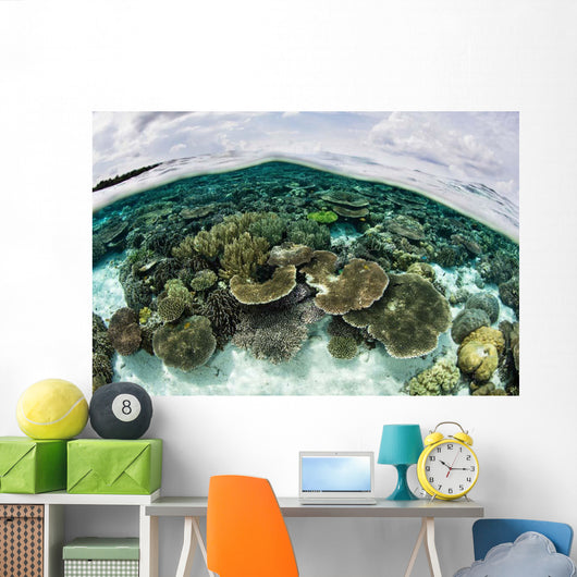 Shallow Coral Reef Thrives Wall Decal Design 7