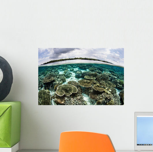 Shallow Coral Reef Thrives Wall Decal Design 6