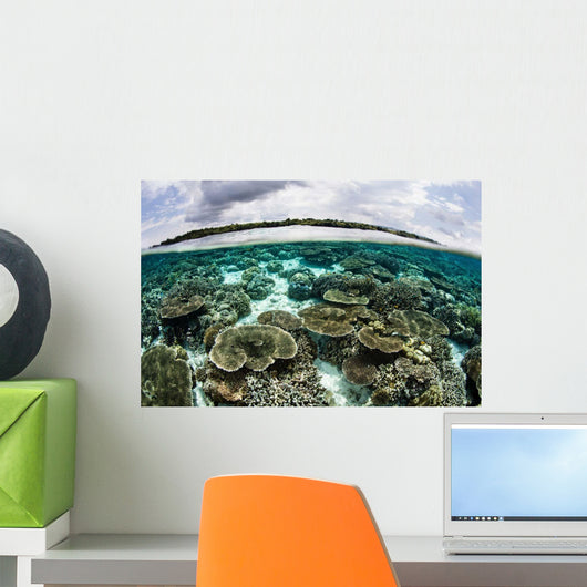 Shallow Coral Reef Thrives Wall Decal Design 6