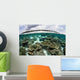 Shallow Coral Reef Thrives Wall Decal Design 6