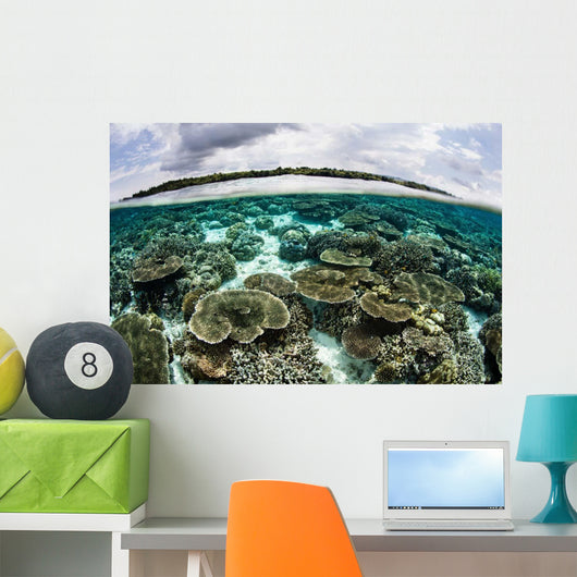 Shallow Coral Reef Thrives Wall Decal Design 6