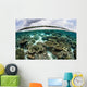 Shallow Coral Reef Thrives Wall Decal Design 6