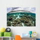 Shallow Coral Reef Thrives Wall Decal Design 6