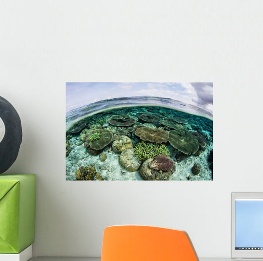 Shallow Coral Reef Thrives Wall Decal Design 5